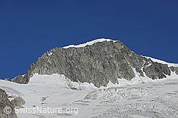 Foto: Galenstock von SE