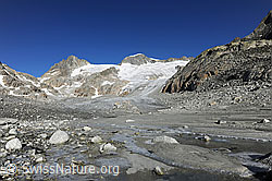 Foto: Tiefengletscher und Gletschervorfeld