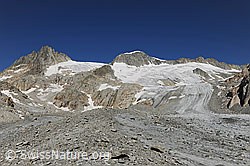 Foto: Auf dem Tiefengletscher