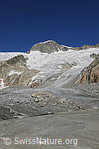 Foto: Gletschervorfeld Tiefengletscher und Galenstock
