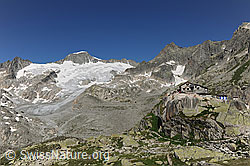F077044: Albert-Heim-Hütte, Tiefengletscher und Galenstock