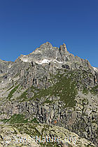 F077056: Winterstock von S