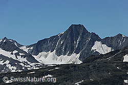 F077077: Muttenhörner