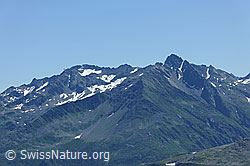 F077079: Gemsstock und Chastelhorn