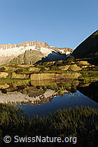 F077119: Spiegelung im Morgenlicht