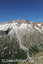 Foto: Dammastock, Schneestock, Eggstock und Rotfirn