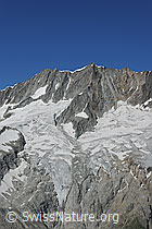 F077170: Dammastock, Schneestock und Rotfirn