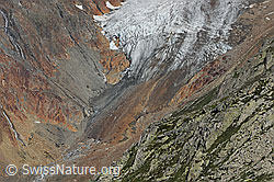 Foto: Zunge des Chelengletschers