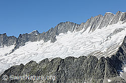 Foto: Blick in den Kessel des Dammagletschers