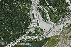 F077190: Tiefblick ins Chelenalptal auf die Chelenreuss