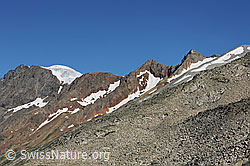 F077193: Gwächtenhorn und Rot Stock