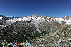 Foto: Gesamtansicht des Dammastock-Massivs