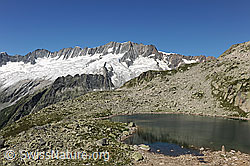 F077232: Bergsee und Dammastockmassiv