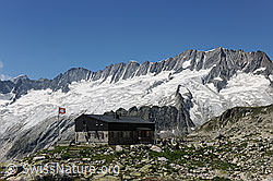 F077256: Dammastockmassiv und Bergseehütte