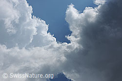 F077504: Wolkenkuss