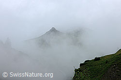 F077511: Nebel im Gebirge