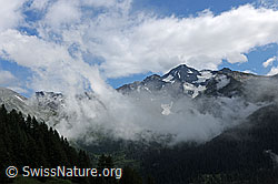 F077542: Gemäldehafte Berglandschaft mit Wolkenstimmung am Schwarzhorn