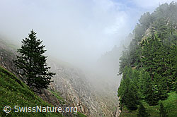 F077552: Mystische Landschaft