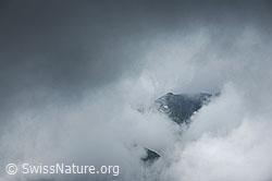 F077573: Breithorn in Wolken gehüllt