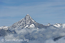 F077750: Bietschhorn von S