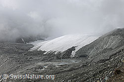Foto: Nebelstimmung am Schwarzberggletscher