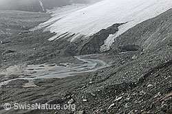 Foto: Gletscherbach und Gletschertor des Schwarzberggletschers