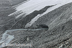 Foto: Gletschertor und Gletscherbach des Schwarzberggletschers
