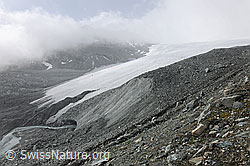 Foto: Schwarzberggletscher: Zunge mit Gletschertor