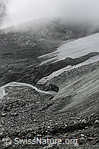 F078172: Gletschertor und Nebelstimmung