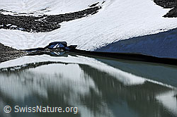 F078355: Schneereste am Ufer mit Spiegelung im Bergsee