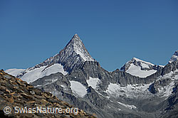 Photo: Finsteraarhorn und Studerhorn