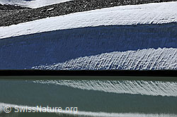 F078366: Spiegelung eines Gletscherrests im Bergsee
