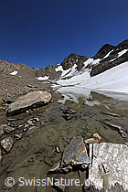 F078460: Wasser und Felsblöcke im Gletschervorfeld