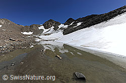 F078461: Gletschervorfeld mit Spiegelung der Berglandschaft