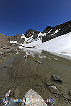 F078462: Spiegelung im Schmelzwasser