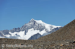 F078477: Aletschhorn