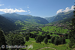 F078831: Grindelwald mit Männlichen
