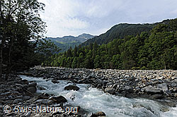 F078861: Durch Murgang aufgefülltes Flussbett