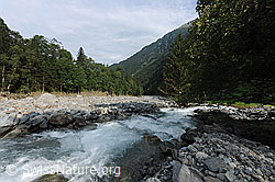 F078863: Folgen der Murgänge von Spreitlaui