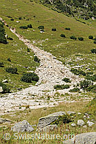 F079098: Kleiner Murgang