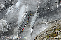 F079277: Menschen auf Gletscher