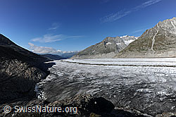 F079379: Grosser Aletschgletscher von Platta