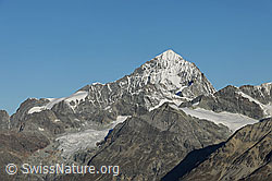 F079547: Dent Blanche