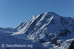 F079610: Liskamm und Grenzgletscher