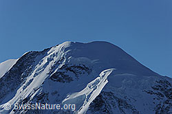 F079611: Gipfel des Liskamm