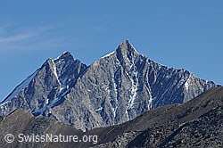 F079714: Dom und Täschhorn