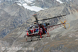 F079740: Helikopter im Vorbeiflug