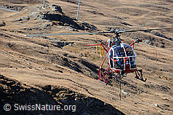 F079753: Arbeitsgerät Helikopter