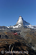 F079784: Helikopter vor Matterhorn