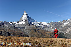 F079786: Flughelfer vor Matterhorn